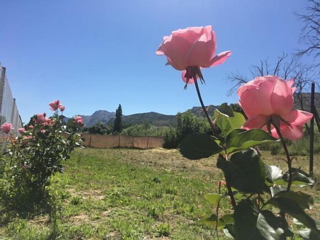 Casa Rural La Maestra Ronda Luaran gambar